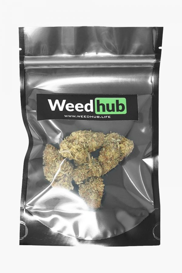 Weed Hub Premium Violator Kush 4