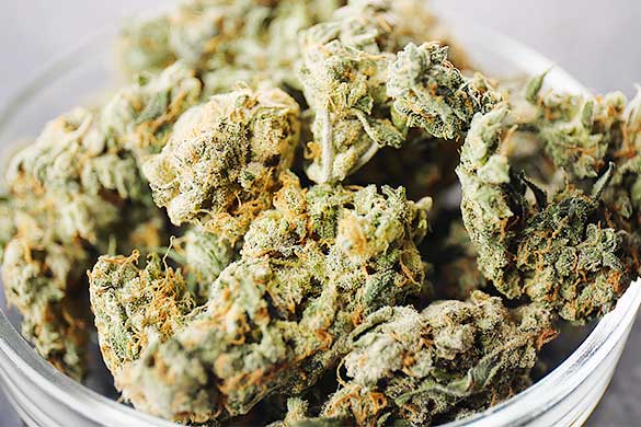 WeedHub Premium Quality Cannabis