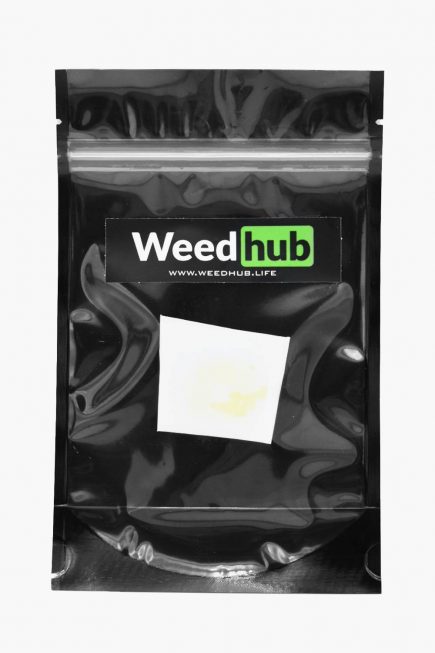WeedHub Shatter - Gorilla Glue 1 Gram Bag