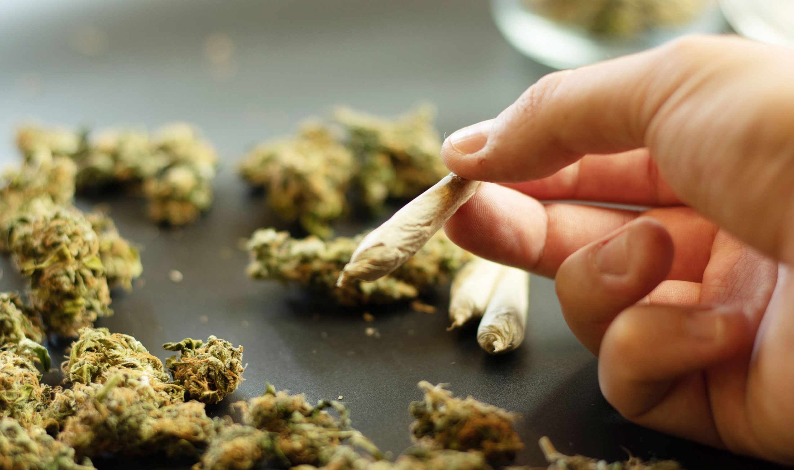 5 Quick & Easy Ways to Grind Up Your Weed Without A Grinder