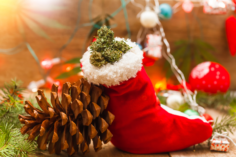 Weed Hub’s Top 3 Strongest Strains To Enjoy This Christmas 2021