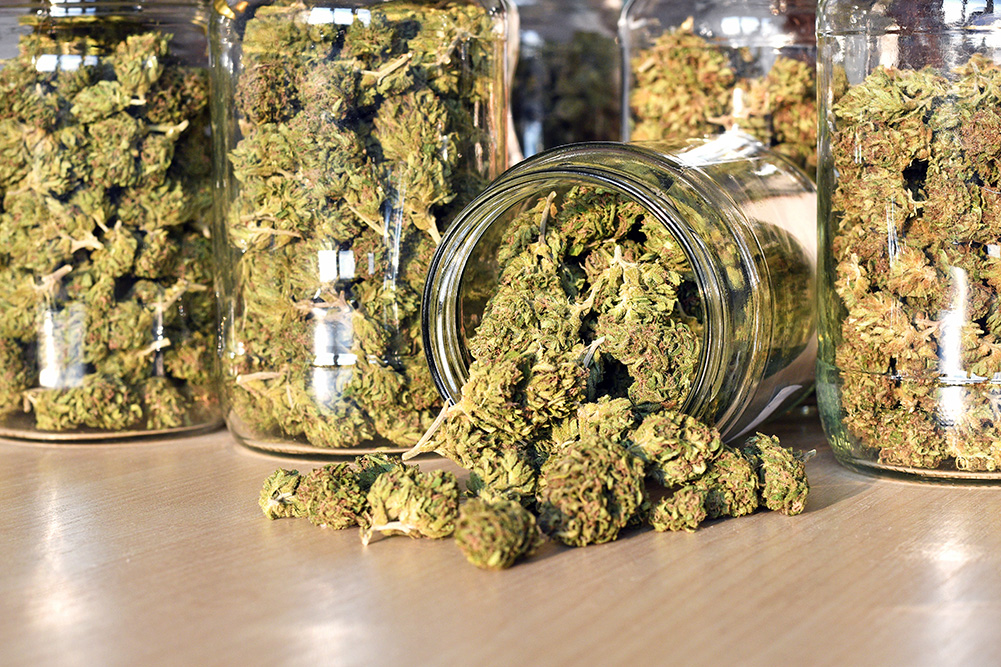 Jars of a Variety of Different Strains of Cananbis